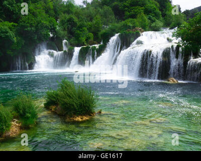 Skrabinski Buk Riserva Naturale, Croazia Foto Stock