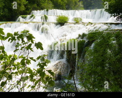 Skrabinski Buk Riserva Naturale, Croazia Foto Stock