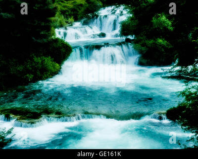 Skrabinski Buk Riserva Naturale, Croazia Foto Stock