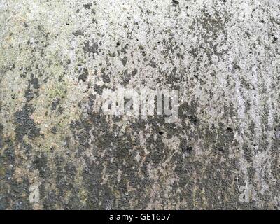 Il vecchio muro di cemento sfondo/texture Foto Stock