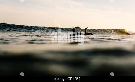 Donna in mare che paddling su tavola da surf, Malibu, California, Stati Uniti Foto Stock