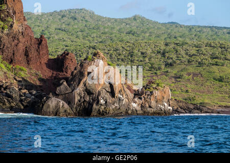 Formazione di roccia che assomiglia a un elefante in isole Galapagos Foto Stock