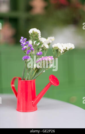 Pianta piccola in un rosso annaffiatoio sul tavolo Foto Stock