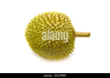 Re della frutta. durian isolati su sfondo bianco. più popolari in Thailandia Foto Stock