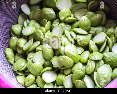 Sato semi, Parkia speciosa semi o amaro bean in luce del giorno. Foto Stock