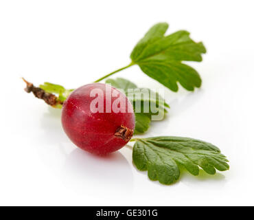 Mature ribes rosso con foglie isolati su sfondo bianco Foto Stock