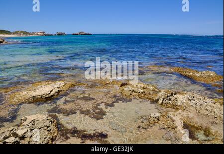 Spiaggia con scogliera di roccia calcarea e vegetazione sottomarina al punto Peron con l'Oceano Indiano seascape in Western Australia. Foto Stock