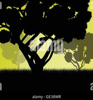 Alberi da foresta paesaggio sunrise sfondo vettoriale illustrazione mistero concept Illustrazione Vettoriale