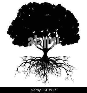 Albero Stilizzato Illustrazione Vettoriale 125967709 Alamy