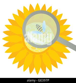 Semi di girasole e bee sotto ispezione vettore per poster Illustrazione Vettoriale
