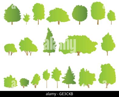 Alberi illustrazione dettagliata raccolta vettore di sfondo Illustrazione Vettoriale