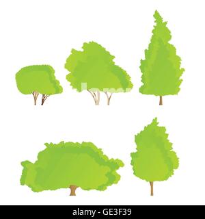 Alberi illustrazione dettagliata raccolta vettore di sfondo Illustrazione Vettoriale