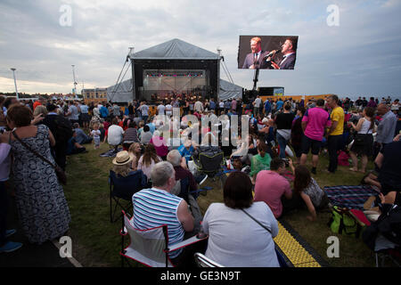 Sunderland, Regno Unito. 22 Luglio, 2016. La gente a Sunderland Airshow internazionale a Sunderland, Inghilterra. La manifestazione annuale attira fino a un milione di visitatori in un anno e ha avuto luogo a partire dal 1988. Credito: Stuart Forster/Alamy Live News Foto Stock