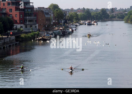 Kingston Londra,UK. Il 23 luglio 2016. Barche a remi pratica sul Fiume Tamigi a Kingston su un bel giorno caldo e soleggiato a Kingston Upon Thames Credito: amer ghazzal/Alamy Live News Foto Stock