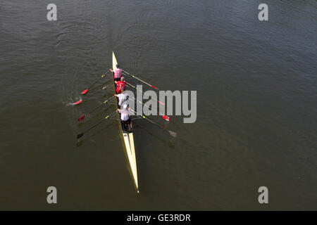 Kingston Londra,UK. Il 23 luglio 2016. Barche a remi pratica sul Fiume Tamigi a Kingston su un bel giorno caldo e soleggiato a Kingston Upon Thames Credito: amer ghazzal/Alamy Live News Foto Stock