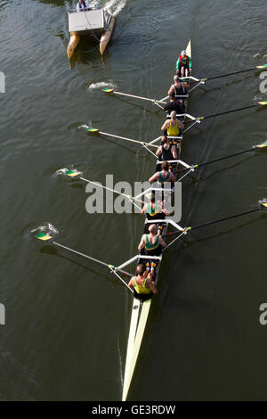 Kingston Londra,UK. Il 23 luglio 2016. Barche a remi pratica sul Fiume Tamigi a Kingston su un bel giorno caldo e soleggiato a Kingston Upon Thames Credito: amer ghazzal/Alamy Live News Foto Stock