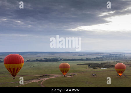 Masai Mara, Kenya. Tre i palloni ad aria calda che trasportano i turisti preparando per il decollo. Foto Stock