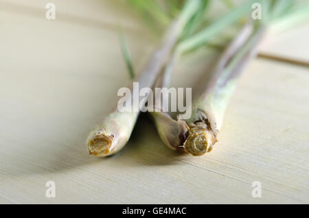 Lemon Grass (Altri nomi sono la citronella, filo spinato erba, teste di seta, citronella, cha de Dartigalongue, febbre erba, ta Foto Stock