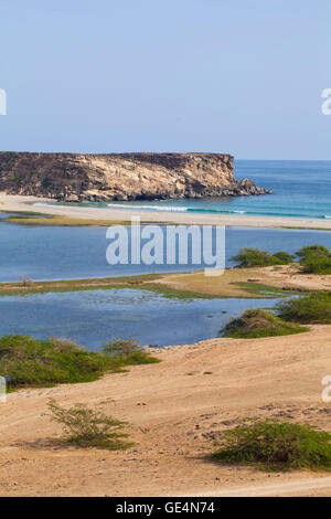 Oman costa vicino Mirbat, Oman Foto Stock