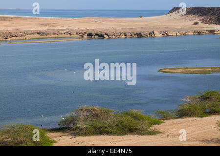 Oman costa vicino Mirbat, Oman Foto Stock