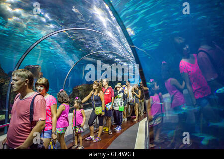 Tunnel sottomarino in un acquario, L'Aquarium, Moll d'Espana, Barcellona, in Catalogna, Spagna Foto Stock