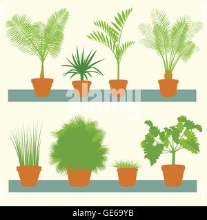 Home piante, il verde delle palme, boccole in vasi Imposta sfondo vettoriale illustrazione raccolta Illustrazione Vettoriale
