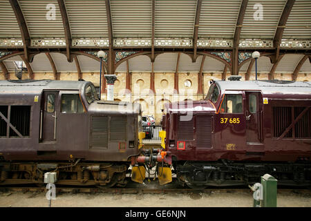 West Coast Ferrovie Classe 37 locomotive presso la stazione di York, UK. Foto Stock