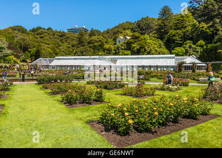 La signora Norwood giardino di rose in Wellington Botanic Garden, Wellington, Nuova Zelanda Foto Stock