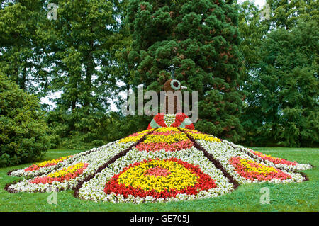 Letto di fiori in forma di un pavone Foto Stock