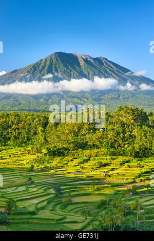 Gunung Agung Vulcano e riso terrazzo paesaggio, Bali, Indonesia Foto Stock