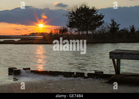 Assateague Island, Berlin Maryland USA Foto Stock