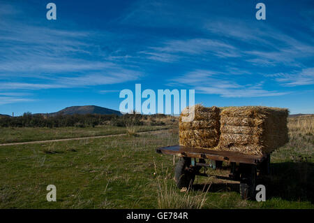 Vecchio rimorchio piccolo o piattaforma nel campo di una zona rurale caricato con balle di paglia un cielo blu giorno di sole Foto Stock