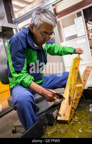 Tecniche di produzione della carta a Gokayama, Giappone Foto Stock