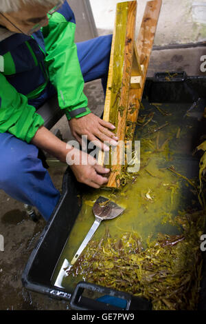 Tecniche di produzione della carta a Gokayama, Giappone Foto Stock