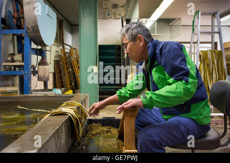 Tecniche di produzione della carta a Gokayama, Giappone Foto Stock