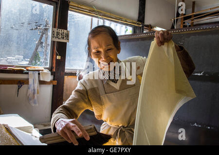 Tecniche di produzione della carta a Gokayama, Giappone Foto Stock