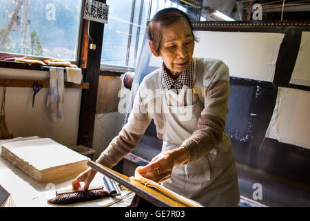 Tecniche di produzione della carta a Gokayama, Giappone Foto Stock