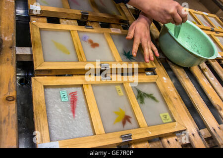 Tecniche di produzione della carta a Gokayama, Giappone Foto Stock