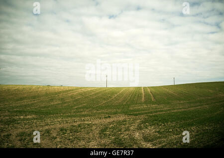 Vista lungo linee di perforazione di giovani di grano di inverno - Ottobre, la Masuria - Polonia Foto Stock