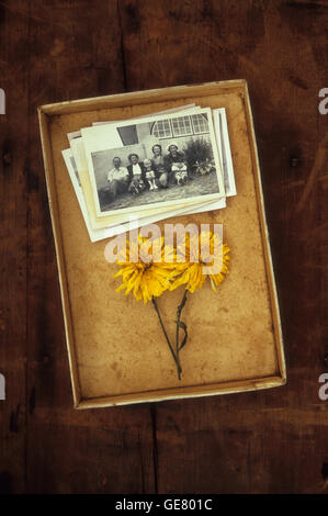 Vecchia scatola contenente la risma di vintage in bianco e nero alle foto di famiglia e due secchi fiori giallo Foto Stock