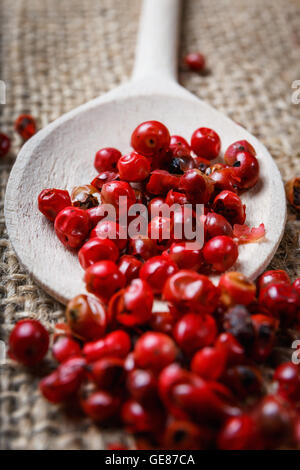 Spicy Red Pepper sul cucchiaio di legno Foto Stock