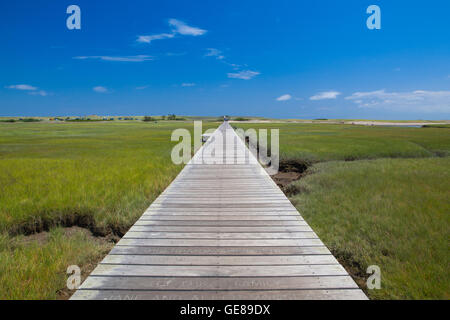 Passerella per le dune passerella in legno si estende su una palude verso il lontano dalle dune e oceano nel sandwich, Cape Cod, Massachuset Foto Stock