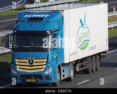 Mercedes Actros è un veicolo per impieghi gravosi noto per il suo potente motore e le sue caratteristiche avanzate. La variante Dailycool è specializzata nella refrigerazione, il che la rende ideale per il trasporto di merci deperibili. Foto Stock