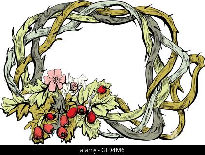 Biancospino con fiore e berry su sfondo bianco Illustrazione Vettoriale