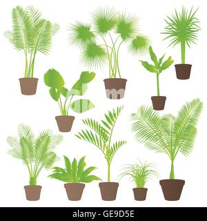 Giungla esotica cespugli di erba, reed, Palm tree piante selvatiche Imposta sfondo vettoriale concetto Casa impianti per poster Illustrazione Vettoriale