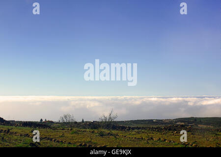 Al di sopra del cielo (vulcano Teide, Tenerife, Isole Canarie) Foto Stock