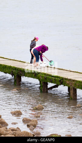 Llandudno, Wales, Regno Unito. Il 25 luglio 2016. Regno Unito - Previsioni del tempo - Un giorno nuvoloso con al di sotto di temperature medie come la stazione balneare di Llandudno, il Galles del Nord. Una famiglia godendo di una macchia di attività di pesca del granchio off un jetti presso il resort costiero Foto Stock