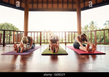 Tre donne a praticare lo yoga insieme alla classe, praticando paschimottanasana pongono. Femmine Fitness stretching in avanti nella yoga. Foto Stock