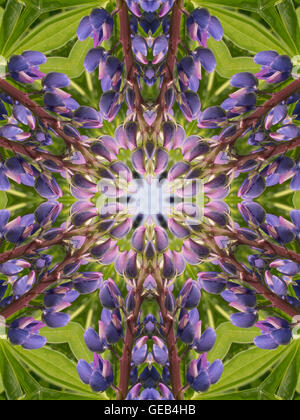 Abstract caleidoscopio sfondo con pattern di colori Foto Stock