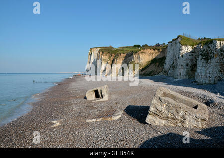 Scogliere di Pourville in Francia Foto Stock